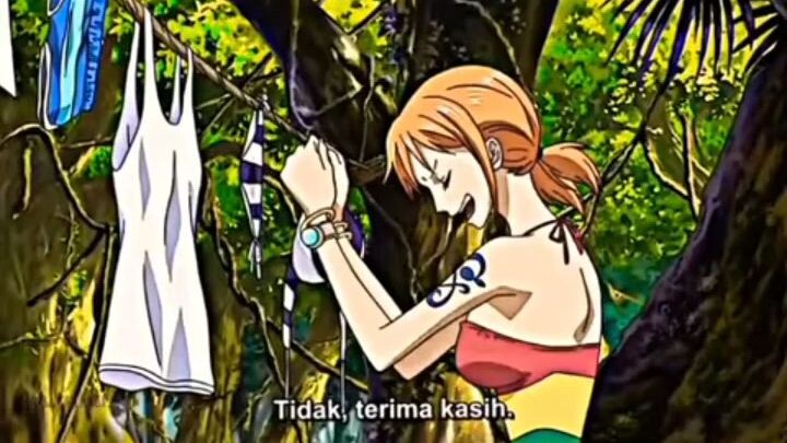 biri peliharaan baru Luffy 😂