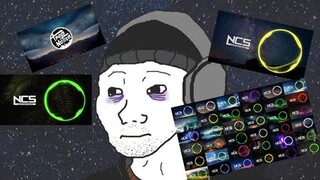 VN nostalgia edm meme!