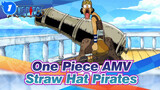 [One Piece AMV] Hilarious Daily Life of Straw Hat Pirates /Arabasta Saga (11)_1