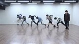 BTS - Fake Love (Dance Practice)
