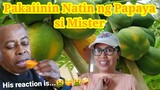 Ang Resulta ng Pagdilig ng Hugas Isda with Molasses sa Papaya sa Taglamig. Part 2 / REACTION ni MR.