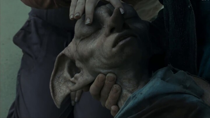Cinta Abadi [Potret Grup Harry Potter Ulang Tahun ke-20]