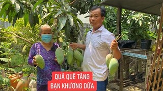 Lên nhà Khương Dừa chơi ra vườn có gì hái đấy làm quà quê tặng thằng bạn thân cho nó vui