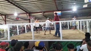 2nd fight win (2cocks hulutan) Entry Name: RedBlade1 (8th Champ.)