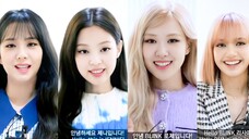 BLACKPINK×Weverse问候视频公开