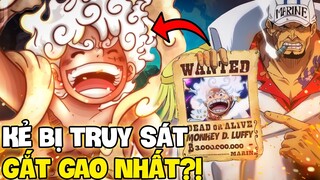 LUFFY TỪNG BỊ CHÍNH PHỦ ÁM SÁT ?! | NHỮNG KẺ BỊ CHÍNH PHỦ NHẮM ĐẾN TRONG ONE PIECE !!!