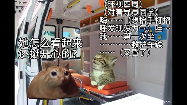 【猫meme】关于我睡进精神科住院的事