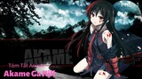 Tóm Tắt Anime Hay: Hội Sát Thủ | Sát Thủ Akame Phần 1|  Review Anime Hay : Akame Ga Kill