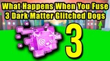 What Happens When You Fuse 3 Dark Matter Glitched Dog in Pet Simulator X