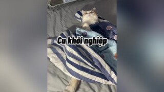 Hum nay cháu phối đồ theo cảm hứng từ cô  nha. mèo cute AnCungTiktok