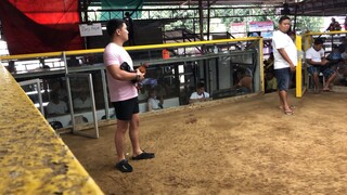 1st fight @Calumpit cockpit WIN. Nov. 22 2022