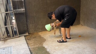 Leher anjing itu dicekik erat, wajahnya bengkak seperti balon, saking gembiranya saat menemukan maka