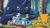 Pokémon Tập 121: Cuộc Chiến Giữa Heracros Và Kailios! (Lồng Tiếng)