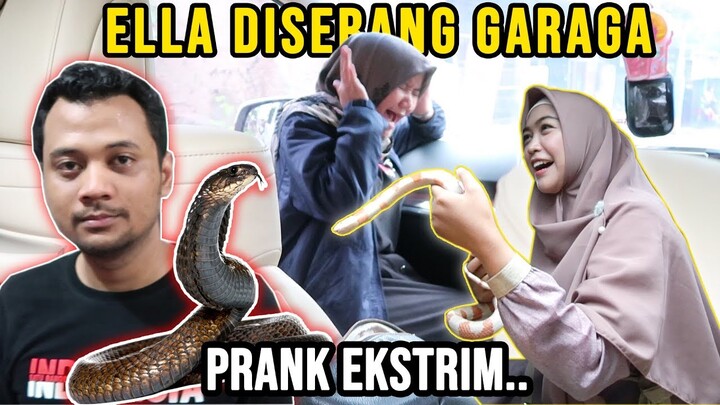 ELLA DISERANG ULER BENERAN. EPIK BANGET SAMPE MAU PINGSAN😅