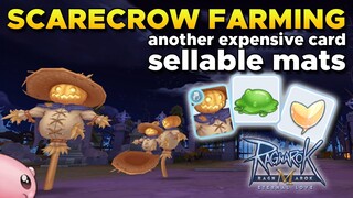 SCARECROW FARMING, IS IT GOOD? LETS FIND OUT - RAGNAROK MOBILE