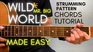 Mr. Big - Wild World Chords (Guitar Tutorial) for Acoustic Cover