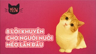 8 Lời Khuyên Cho Những Người Nuôi Mèo Lần Đầu Mà Bạn Không Thể Bỏ Qua | Meow | Coi Là Ghiền