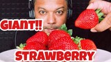 ASMR:Strawberry (EATING SOUNDS)|COCO SAMUI ASMR #กินโชว์สตอเบอรรี่