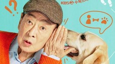 Dog Know Everyting Episode 7 Sub Indo