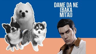 Dame Da Ne (Baka Mitai) but it's Doggos and Gabe