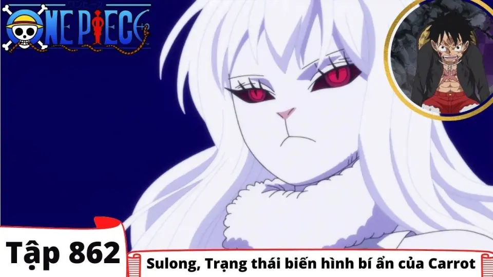 One Piece Tập 862 Sulong Trạng Thai Biến Hinh Bi ẩn Của Carrot đảo Hải Tặc Tom Tắt Anime Bilibili