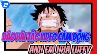 Em Nhớ Anh: Anh Em Nhà Luffy Clip Cảm Động (Nhớ Mang Giấy) | Đảo Hải Tặc_2