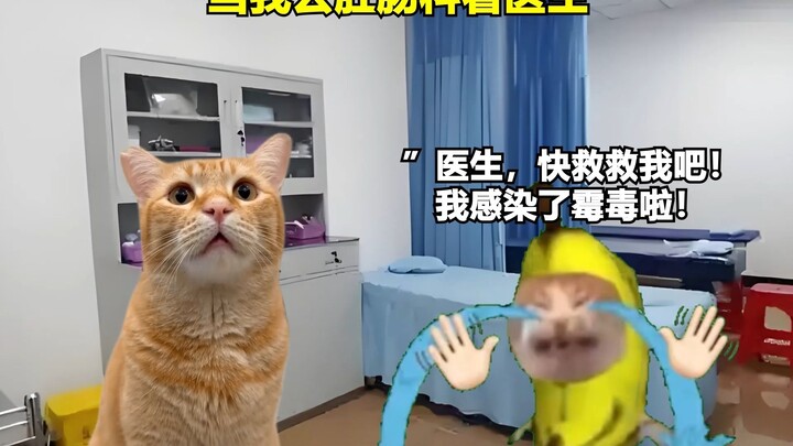 当我去肛肠科看医生 #逆天 #炸裂 #搞笑 #猫meme
