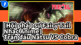 [Hội pháp sư Fairy Tail Nhạc Anime] Trận đấu Natsu VS Cobra (Phần 2)_1