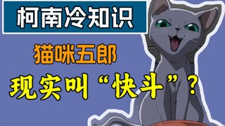 【冷知识】小兰妈妈养的蓝猫，现实原型居然叫“快斗”？