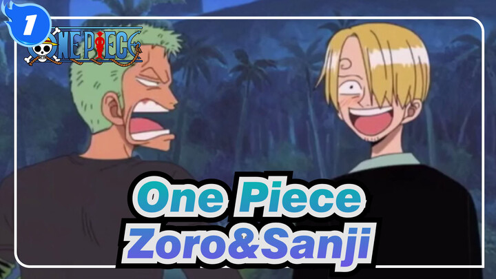 [One Piece] Skypiea Sage, Zoro&Sanji_1