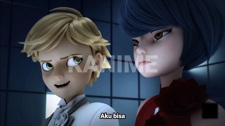 BiliBili search - miraculous ladybug season 5
