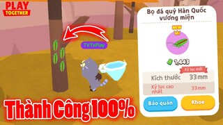 Cách Săn "Bọ Đá Quý Hàn Quốc VM" Thành Công 100%, Đây Là Vị Trí Dễ Xuất Hiện Nhất | Play Together