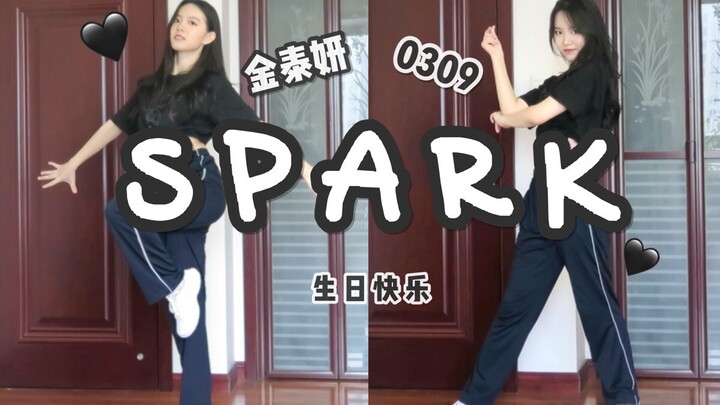 【Spark】泰妍生日快乐♡少时老粉火花翻跳｜永远是少女时代