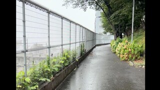 天气之子圣地巡礼时下雨会怎么样？