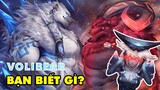 BẠN  BIẾT GÌ VỀ VOLIBEAR: Thằng em đập thằng anh như con, chọc mù mắt Lissandra trong LMHT