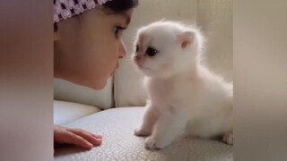 [Động vật]Khoảnh khắc ấm áp, vui nhộn của em bé và mèo trong cuộc sống