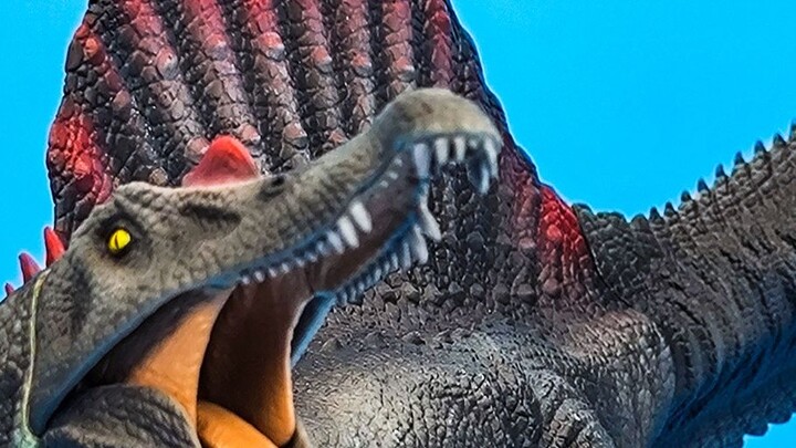 Bandai có thực sự tạo ra khủng long không? Chất lượng của Spinosaurus trị giá hơn 400 nhân dân tệ!