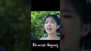 What?!😱 | Brocade Odyssey | YOUKU