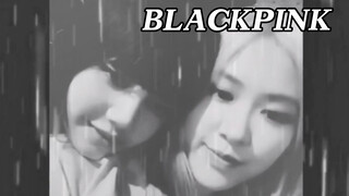 [BLACKPINK|ChaeLisa] Những cô em út nhỏ bé (Phần 2)