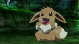 Pokémon丨Do you like this naughty Eevee?