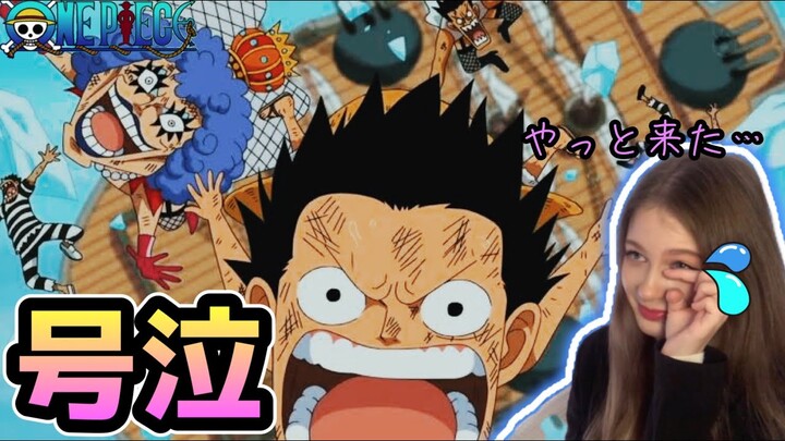 [Finally Luffy arrived💕]One Piece Ep:465,466【Reaction】【animation】