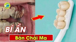 Giải Mã Sự Thật Bí Ẩn Đáng Sợ  Về Bàn Chải Đánh Răng Bạn Vẫn Đang Làm Mỗi Ngày Mà Không Hề Hay Biết