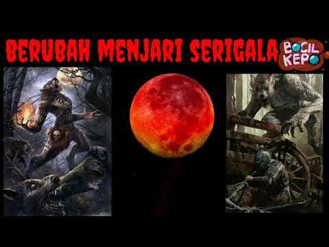 BULAN MERAH DARAH ? Benarkah SANGAT MENAKUTKAN 😱 Sungguh  Membagongkan ! - Kartun Indonesia