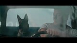 DOG - Official Trailer - MGM Studios