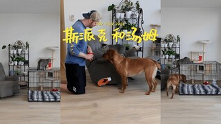 等会，这不是《猫和老鼠》里面的情节吗！？