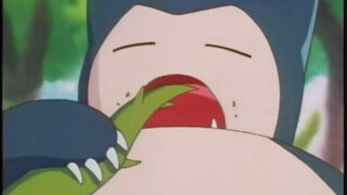 Do you know what Snorlax's favorite food is?