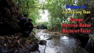 GROJOGAN AIR JADI SARANG IKAN || SAMPE HATTRICK BABON!!