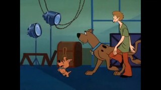 Scooby and scrappy doo ตอน นักมายากลตัวอันตราย