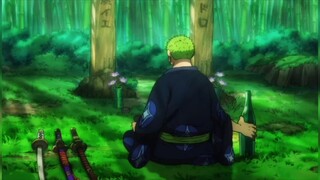 Zoro vẫn hiểu ký ức của đàn ông nhất