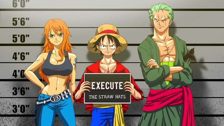 If Straw Hats Were Charged for their Crimes…